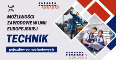 Możliwości zawodowe w UE