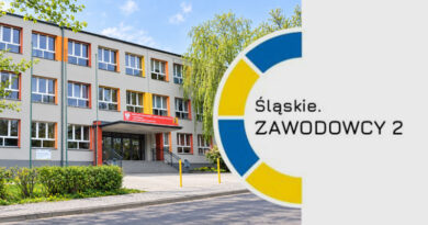 Śląskie. Zawodowcy 2 – ogłoszenie o naborze.